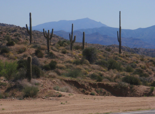 Bicycle tour views.